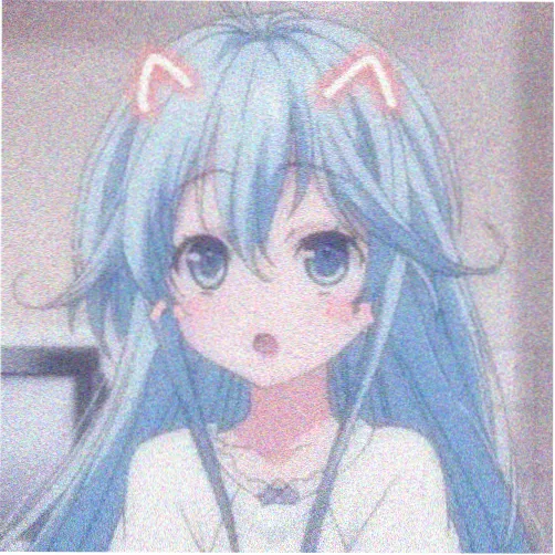 口袋君